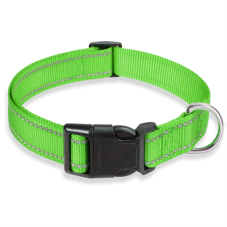 Buckle Dog Collars