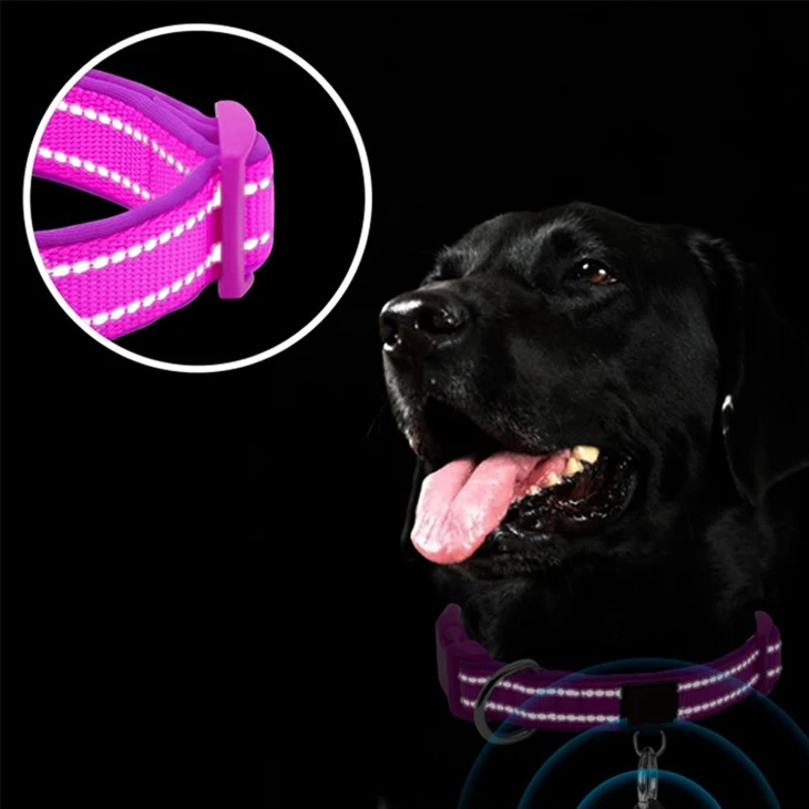 Cute Puppy Collars