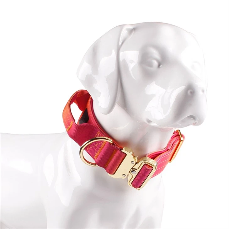 Dog Collar With Handle