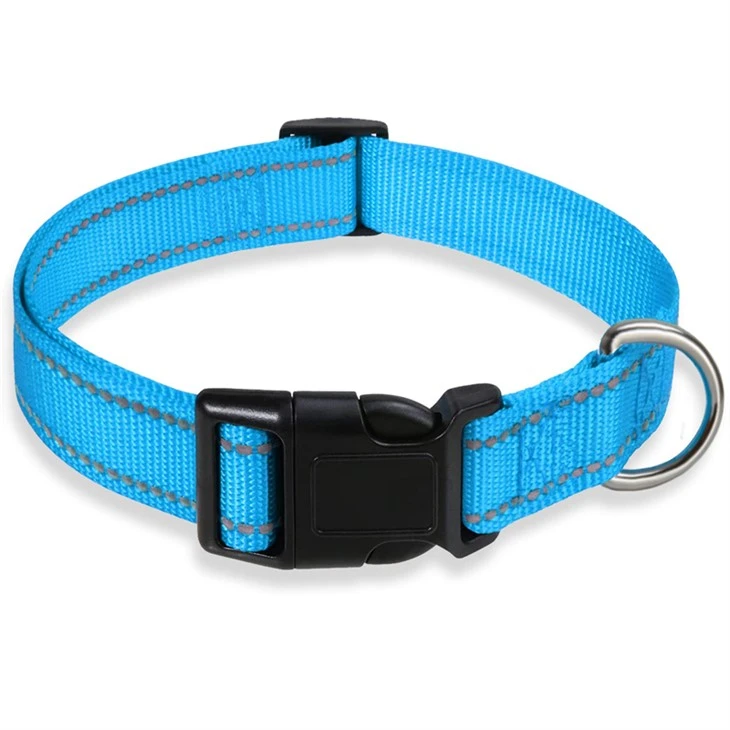 Pet Collars
