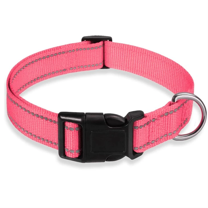 Pet Collars