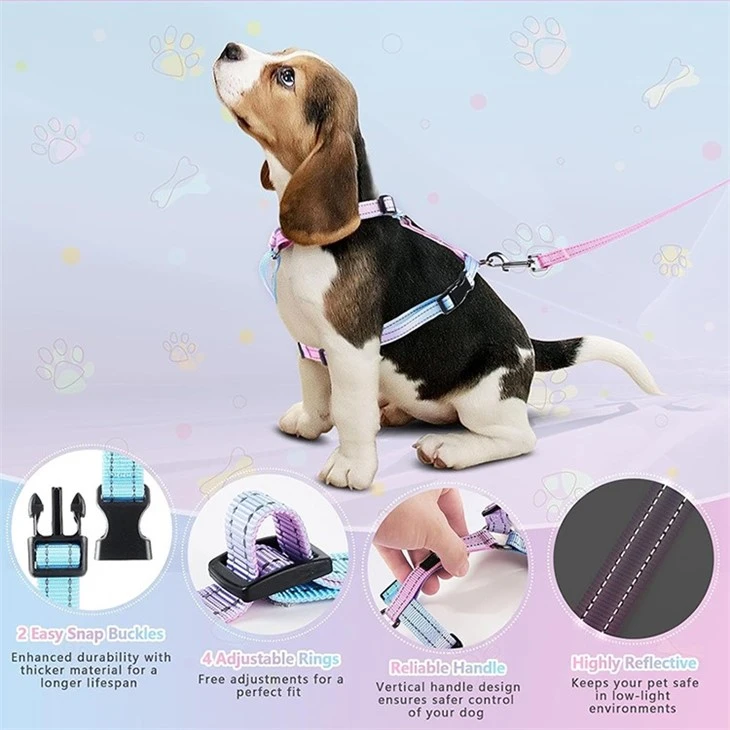 Cute Dog Leash And Harness high quality