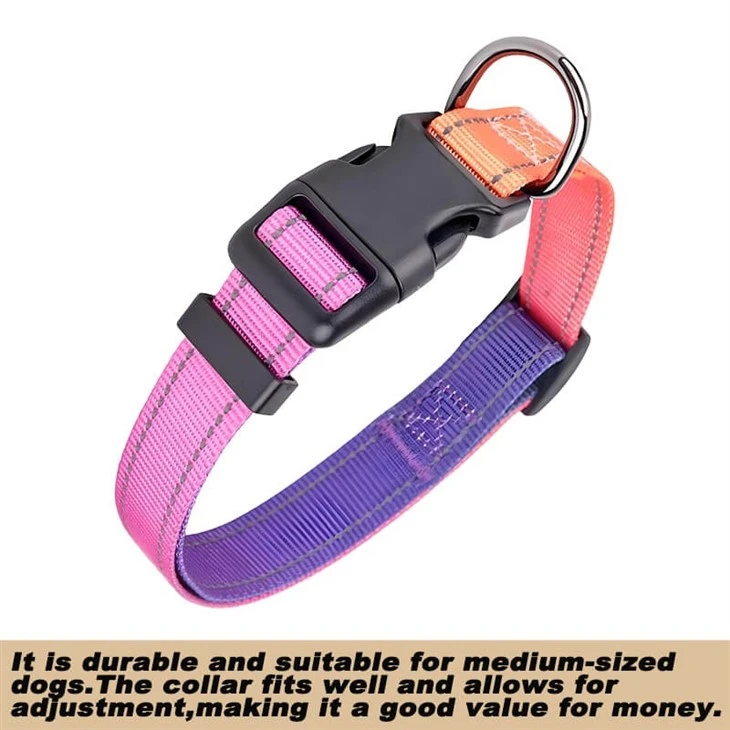 Reflective Dog Collar And Leash Set